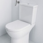 Vision Plus WC